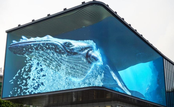 戶外裸眼3D屏幕-好奇數(shù)字科技