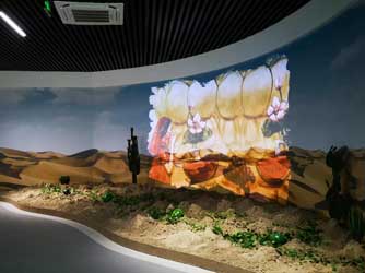 墻面弧幕投影-好奇數(shù)字科技